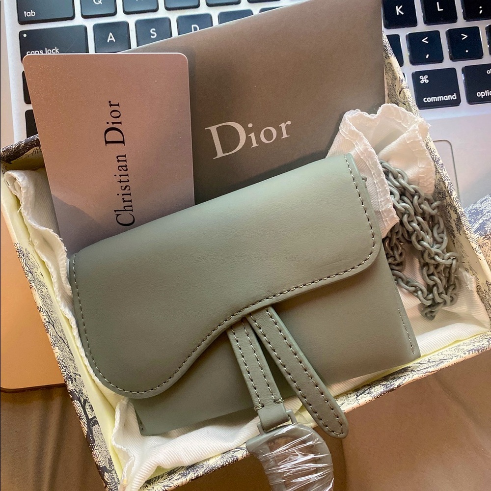 DIOR SADDLE NANO POUCH